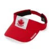 Gongshow Nucks Visey Visor